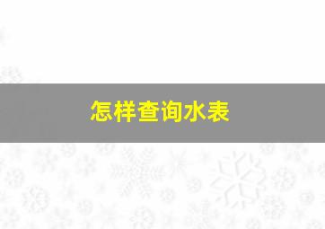 怎样查询水表