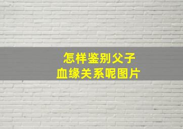 怎样鉴别父子血缘关系呢图片