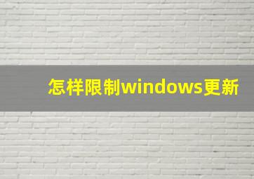 怎样限制windows更新