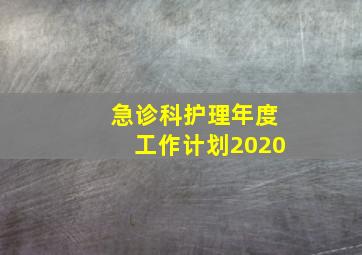 急诊科护理年度工作计划2020