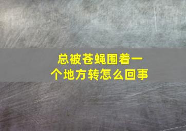 总被苍蝇围着一个地方转怎么回事