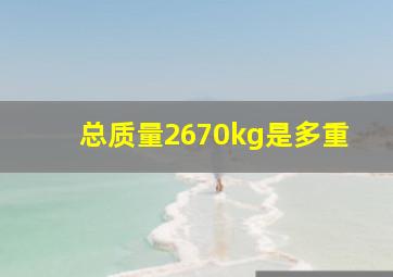 总质量2670kg是多重