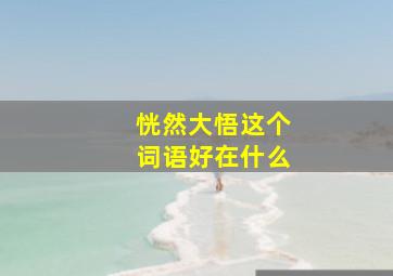 恍然大悟这个词语好在什么