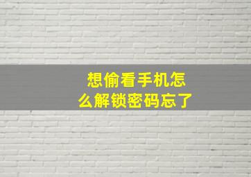 想偷看手机怎么解锁密码忘了