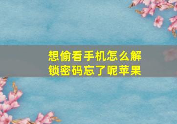 想偷看手机怎么解锁密码忘了呢苹果