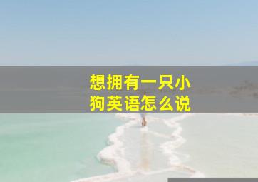 想拥有一只小狗英语怎么说