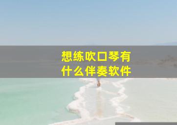 想练吹口琴有什么伴奏软件