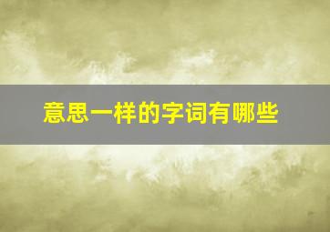 意思一样的字词有哪些