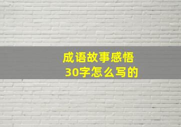 成语故事感悟30字怎么写的