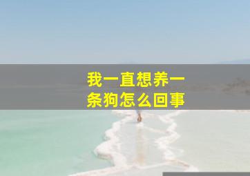 我一直想养一条狗怎么回事