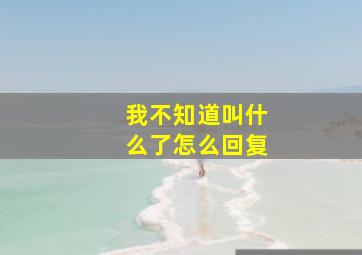 我不知道叫什么了怎么回复