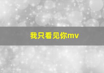 我只看见你mv