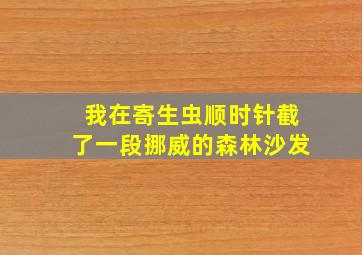 我在寄生虫顺时针截了一段挪威的森林沙发