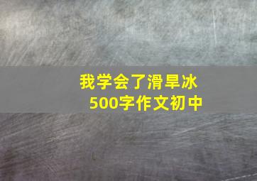 我学会了滑旱冰500字作文初中