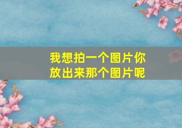 我想拍一个图片你放出来那个图片呢