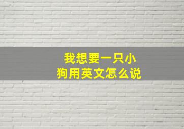 我想要一只小狗用英文怎么说