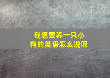 我想要养一只小狗的英语怎么说呢