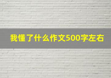 我懂了什么作文500字左右