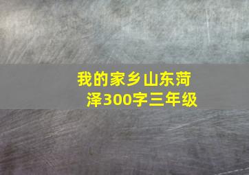 我的家乡山东菏泽300字三年级