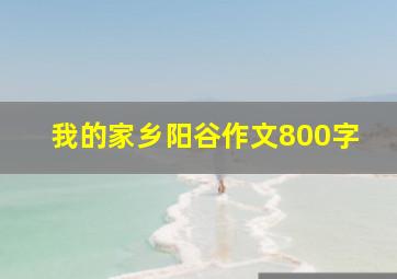 我的家乡阳谷作文800字