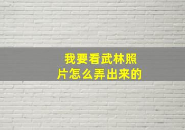 我要看武林照片怎么弄出来的