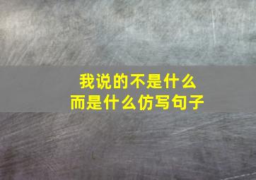 我说的不是什么而是什么仿写句子