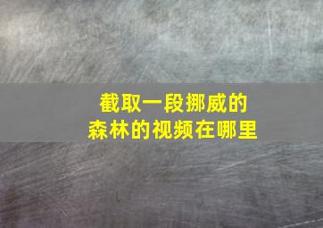 截取一段挪威的森林的视频在哪里