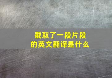 截取了一段片段的英文翻译是什么