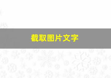 截取图片文字