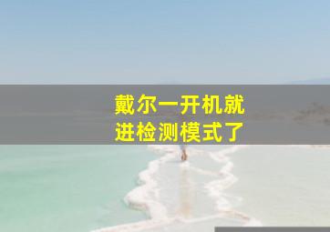 戴尔一开机就进检测模式了