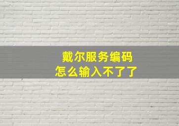 戴尔服务编码怎么输入不了了