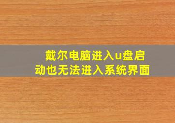 戴尔电脑进入u盘启动也无法进入系统界面