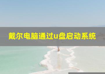 戴尔电脑通过u盘启动系统