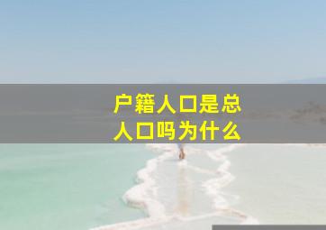 户籍人口是总人口吗为什么