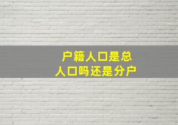 户籍人口是总人口吗还是分户