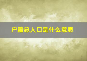 户籍总人口是什么意思