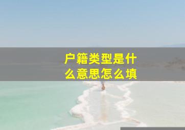 户籍类型是什么意思怎么填