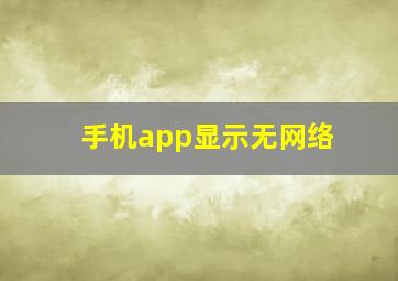 手机app显示无网络