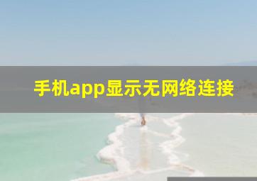 手机app显示无网络连接