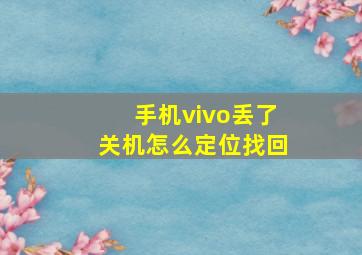 手机vivo丢了关机怎么定位找回