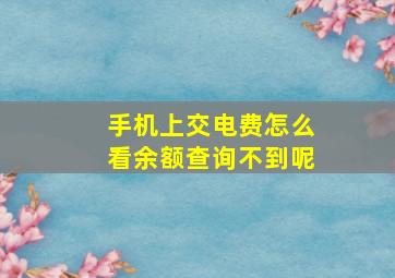 手机上交电费怎么看余额查询不到呢