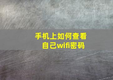 手机上如何查看自己wifi密码