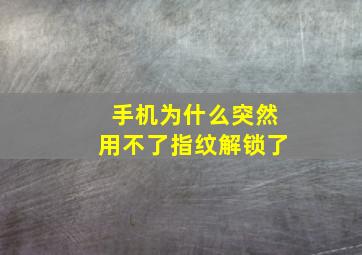 手机为什么突然用不了指纹解锁了