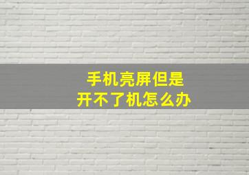 手机亮屏但是开不了机怎么办