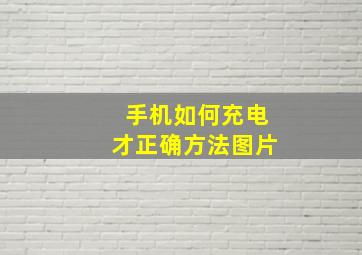 手机如何充电才正确方法图片