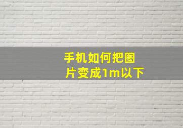 手机如何把图片变成1m以下