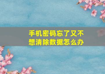 手机密码忘了又不想清除数据怎么办