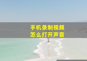 手机录制视频怎么打开声音