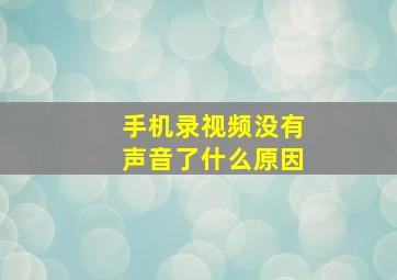 手机录视频没有声音了什么原因