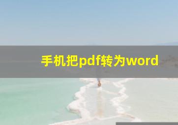 手机把pdf转为word